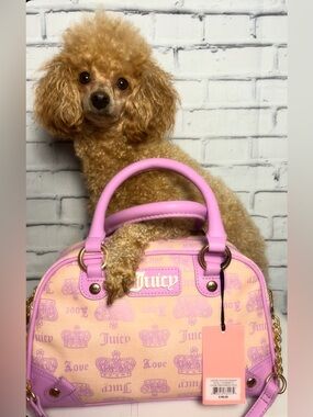 NWT Juicy Couture Purple-Pink and Rosey-Cream Dome Satchel (modeled by Bambi)